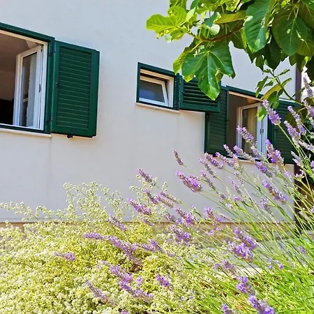 Apartamento By The Sea Razanj, - 14712 *